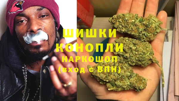 ПСИЛОЦИБИНОВЫЕ ГРИБЫ Строитель