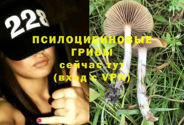 ешки Баксан
