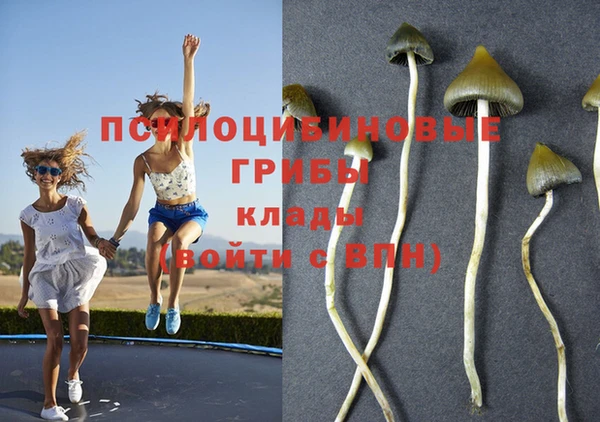 каннабис Балабаново