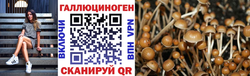 Псилоцибиновые грибы Cubensis  Котово 